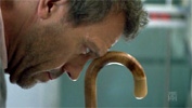 Image:Canne7f.jpg
