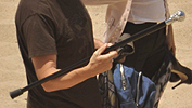 Image:Canne701a.jpg