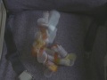 Preview Rehab